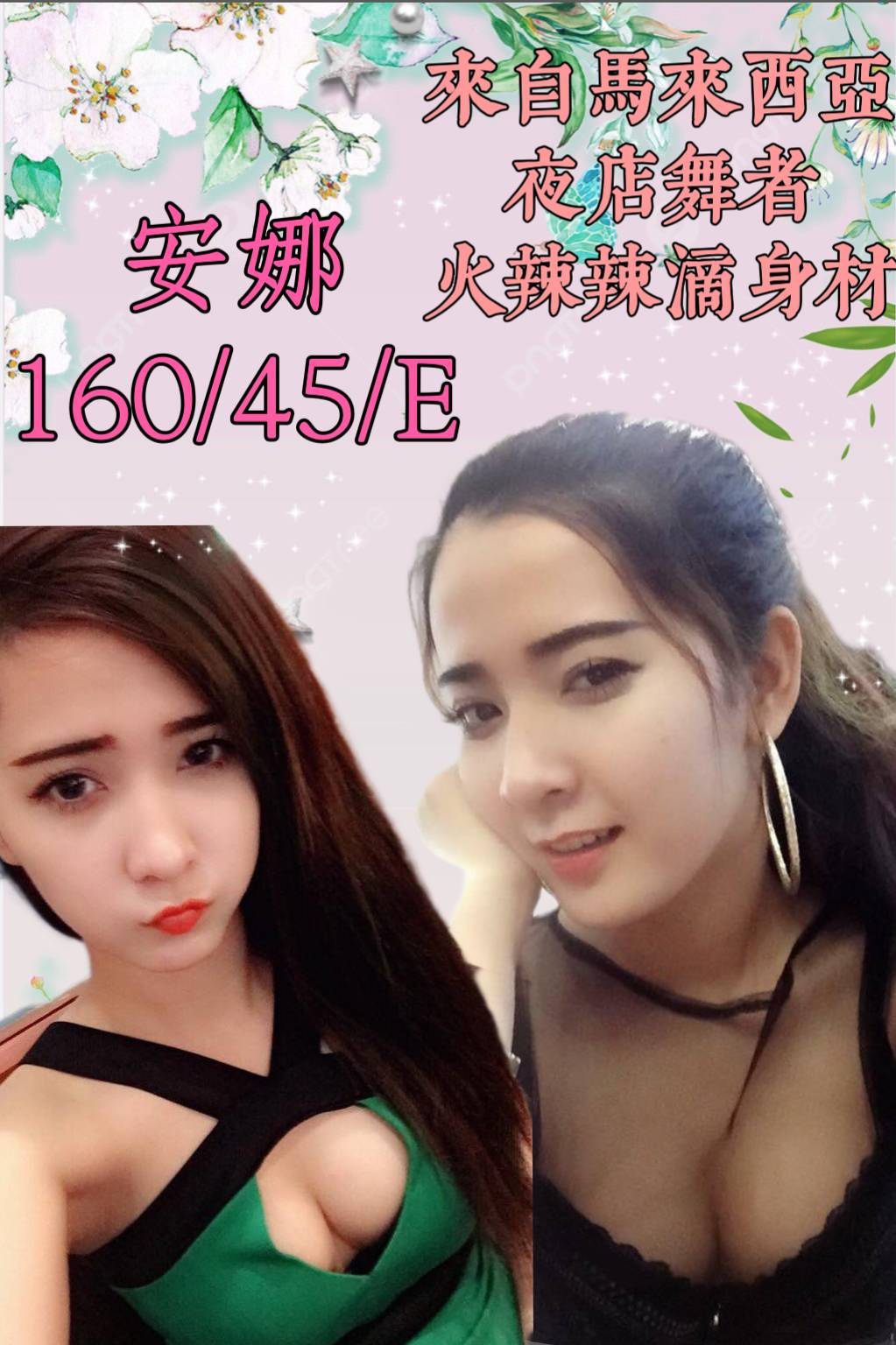 基隆定點茶:安娜160/45/E