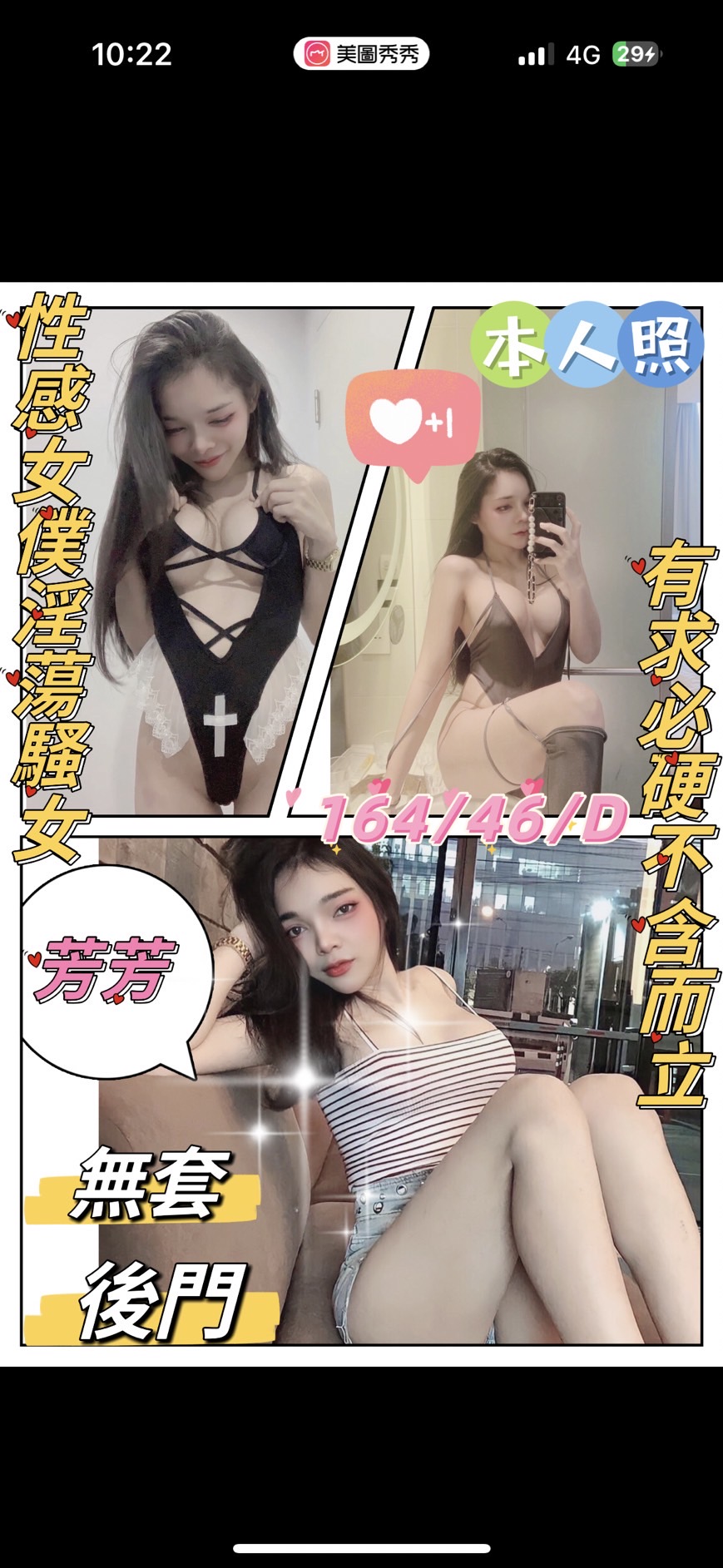 雲林定點茶: 芳芳164/46/D 雲林定點茶: 芳芳164/46/D