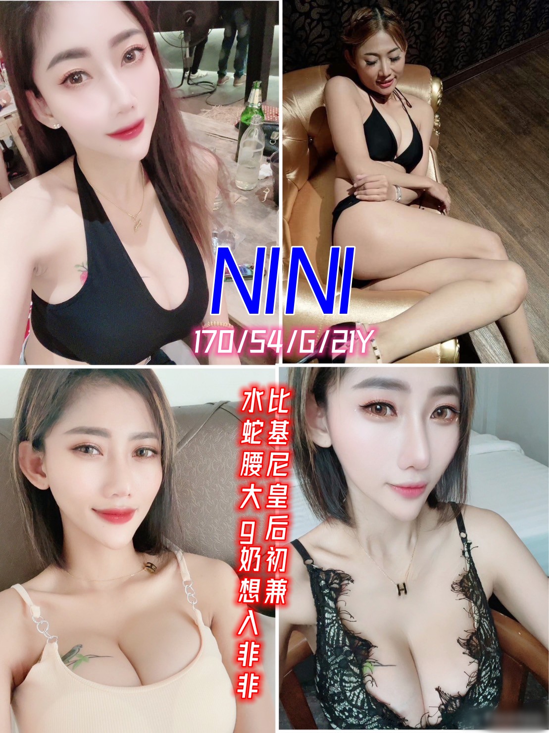 新北定點茶:NINI170/54/G/21Y 新北定點茶:NINI170/54/G/21Y