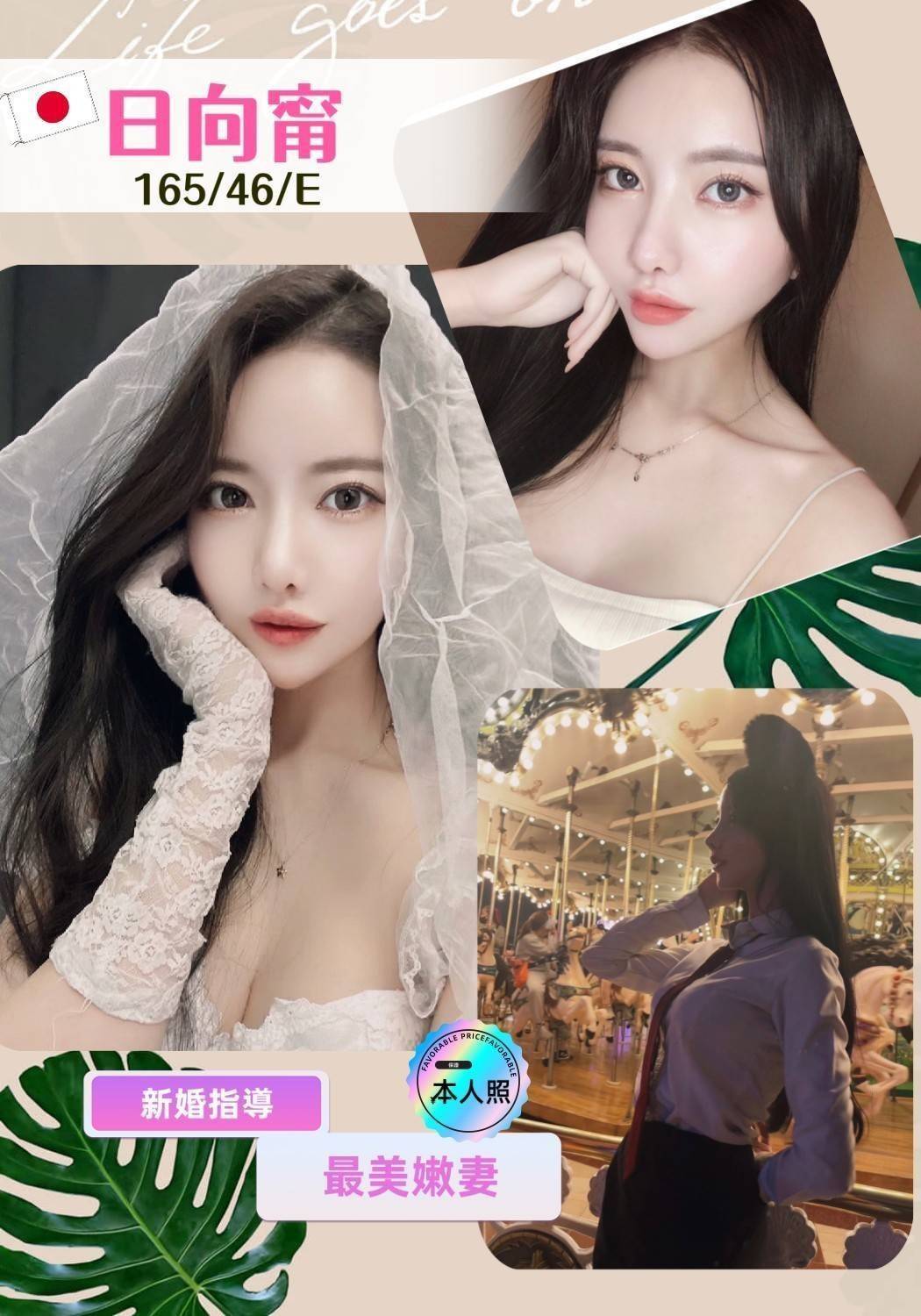 高雄外送茶: 日向甯 165/46/E 高雄外送茶: 日向甯 165/46/E