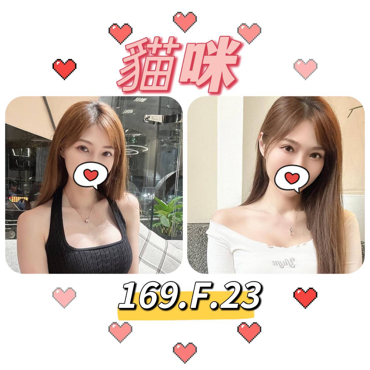 台北外送茶: 貓咪 169/F/23Y