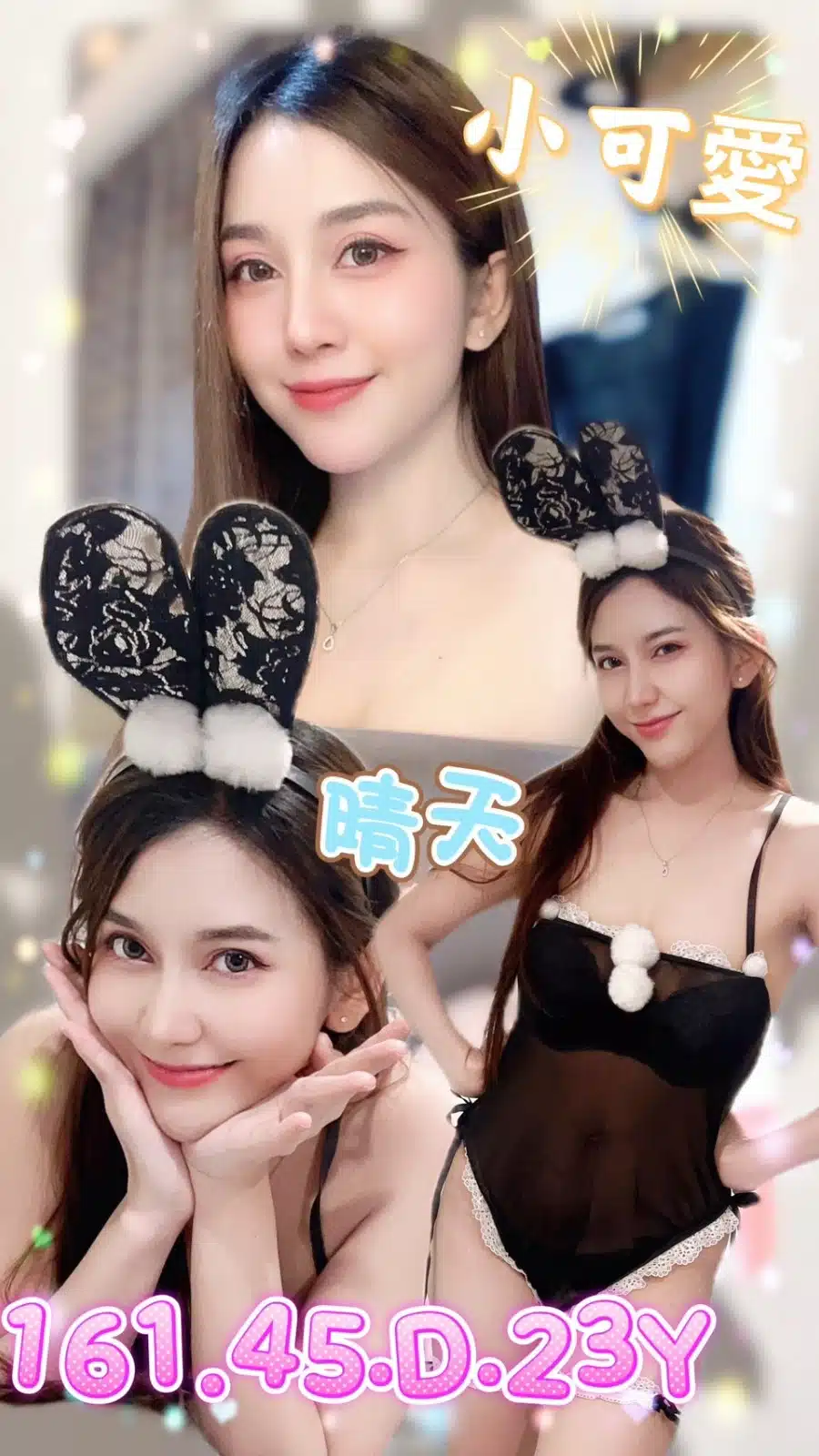 台北定點茶-晴天/161/45/21/D 台北定點茶-晴天/161/45/21/D