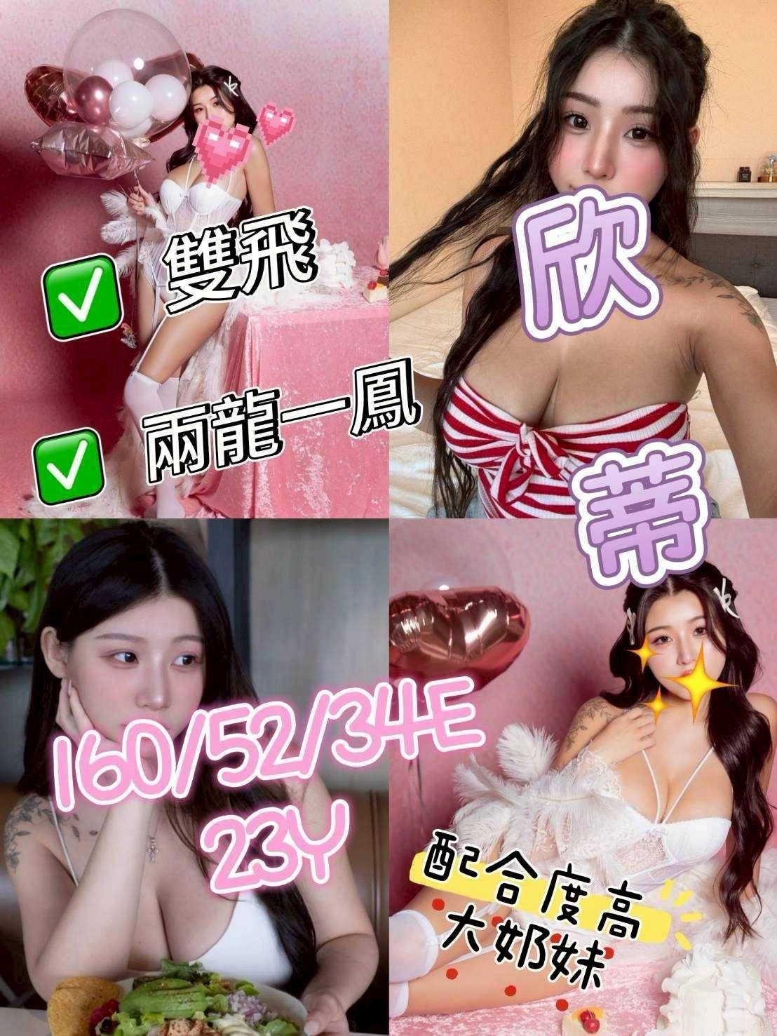 嘉義定點茶-欣蒂/160/52/23/E 嘉義定點茶-欣蒂/160/52/23/E