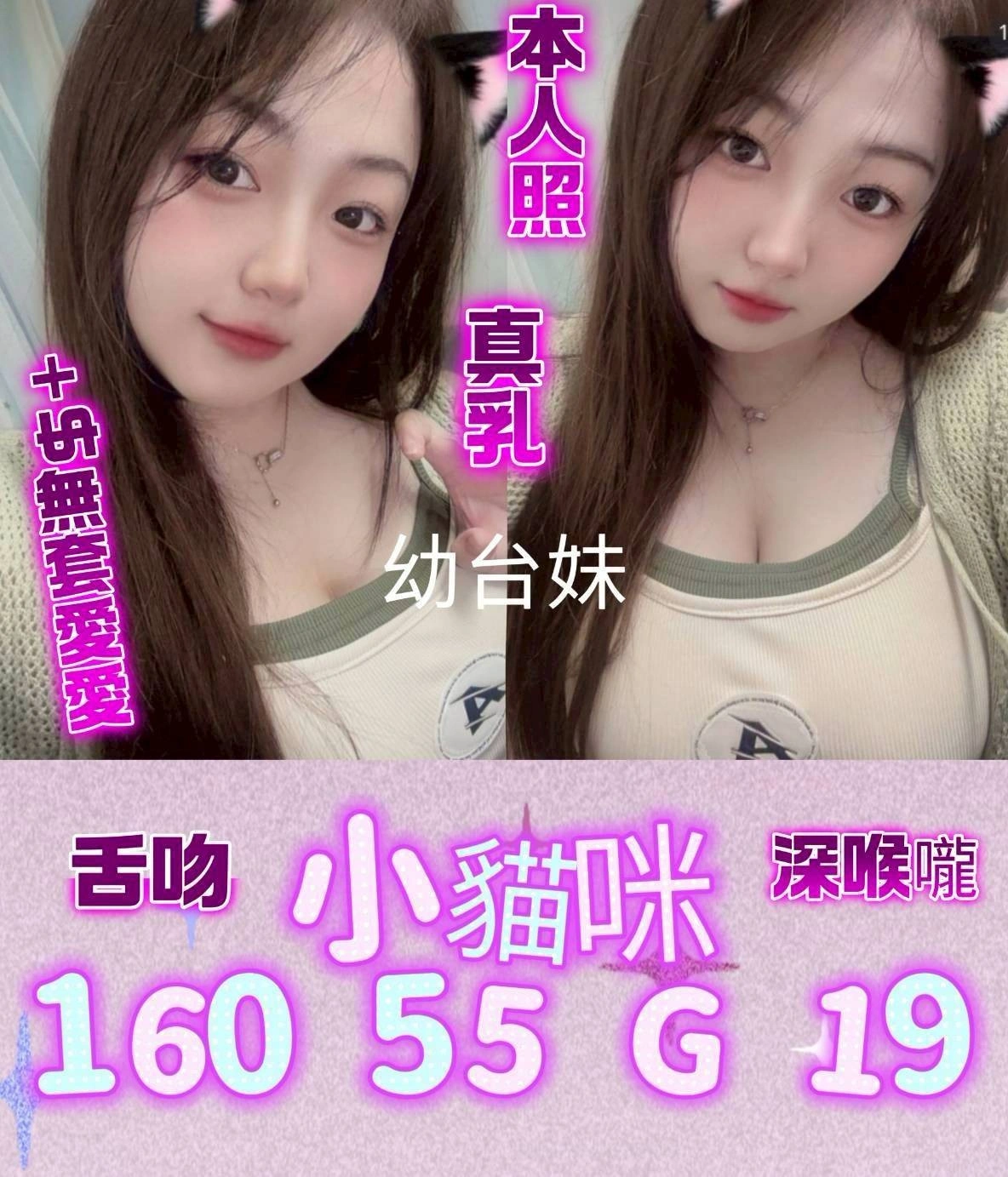 嘉義外送茶-小貓咪/160/55/19/G 嘉義外送茶-小貓咪/160/55/19/G