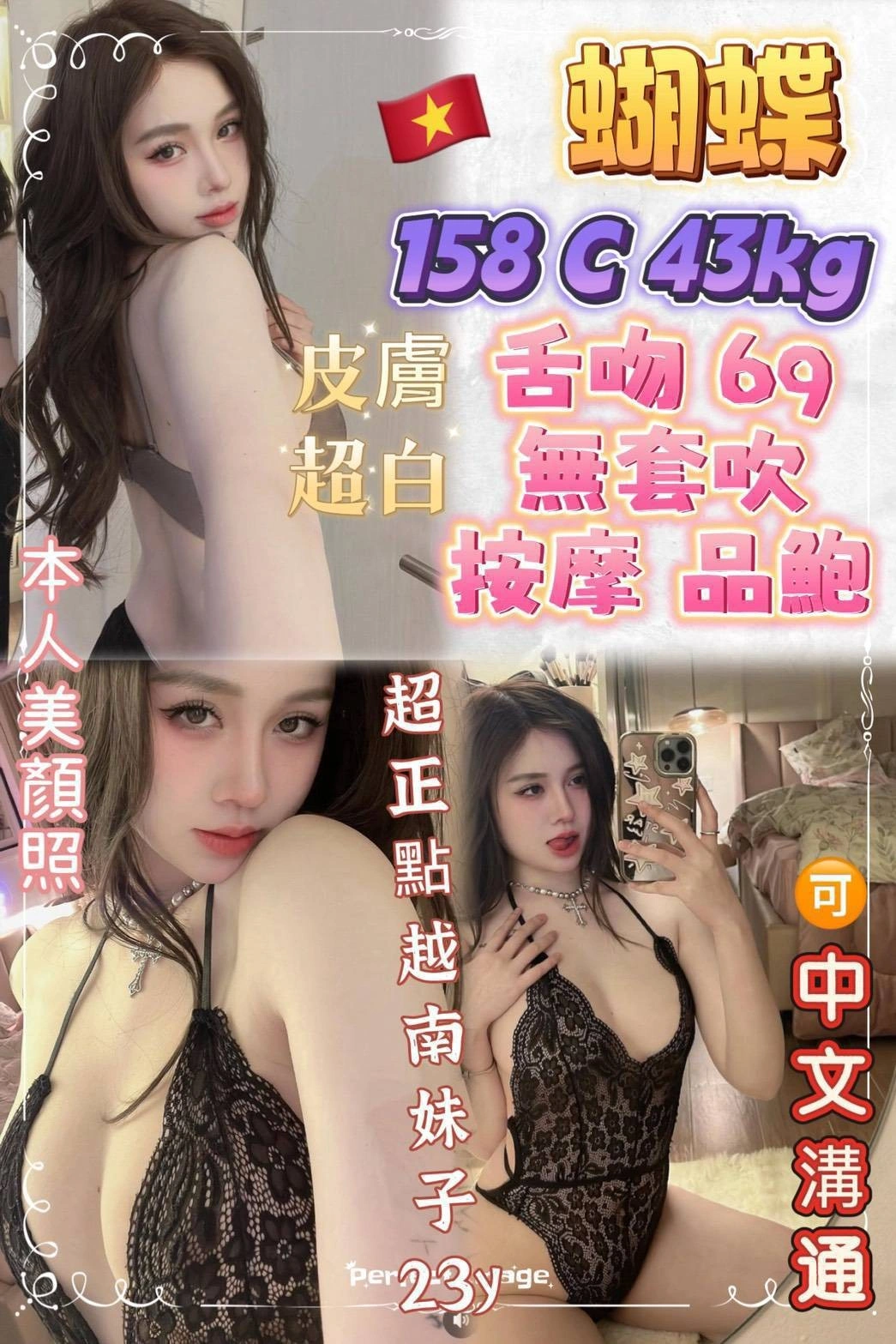 新北定點茶-蝴蝶/158/43/23/C