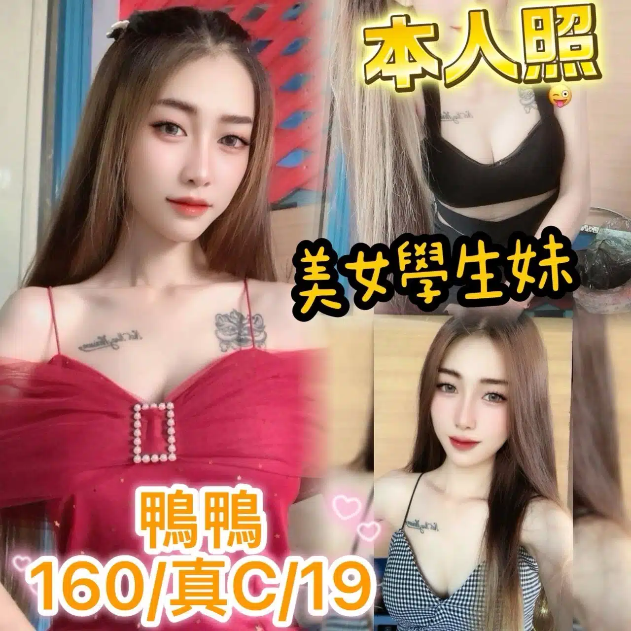 台中定點茶-鴨鴨/160/?/19/C