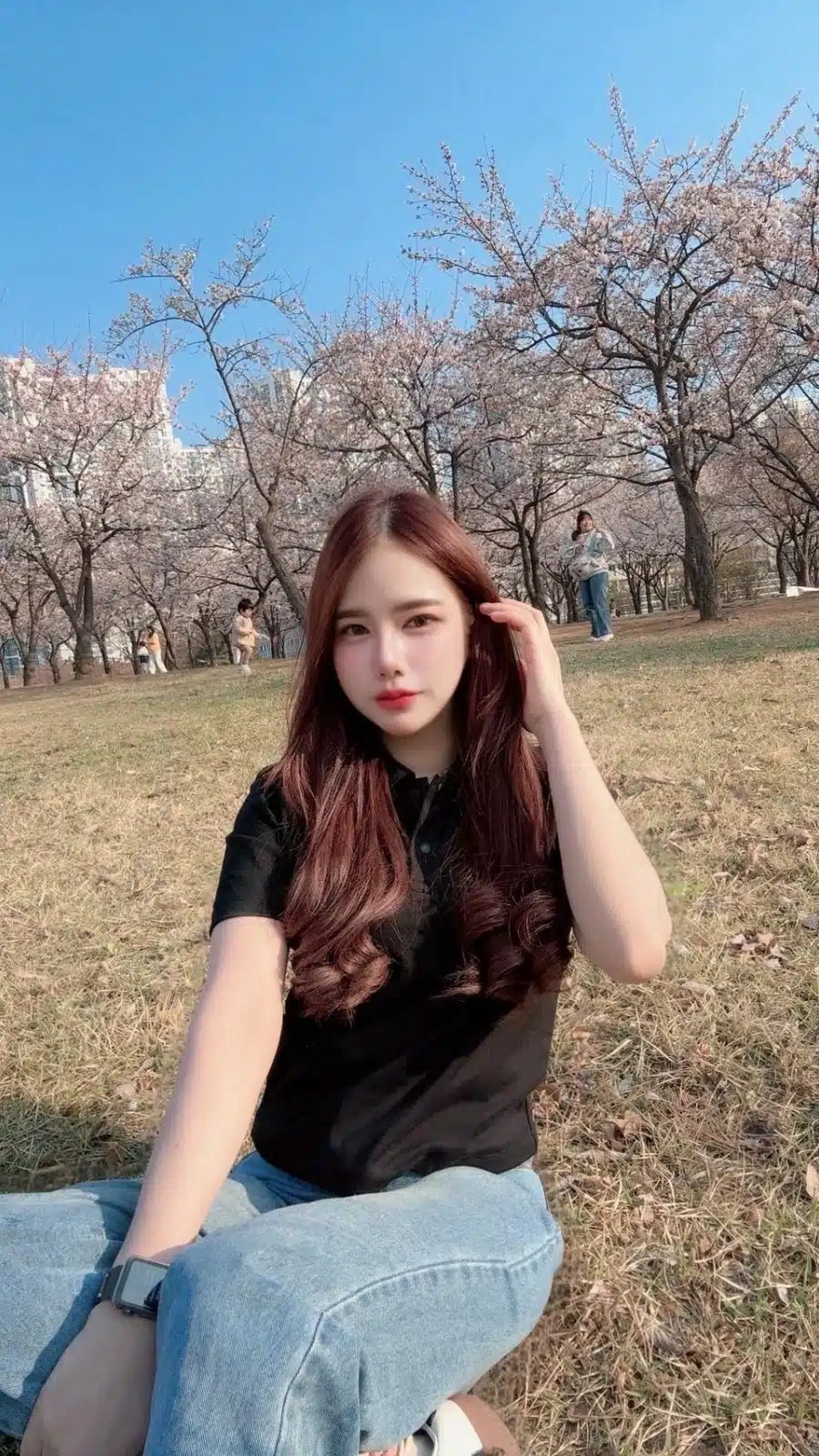 台北定點茶-凱蒂貓/157/43/23/D