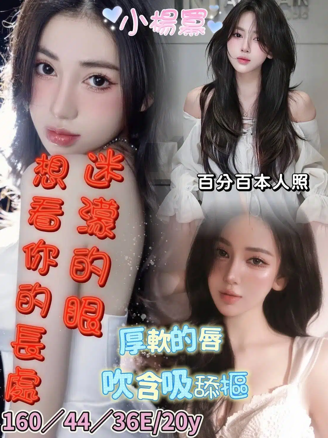 台南定點茶-小楊冪/160/44/20/E