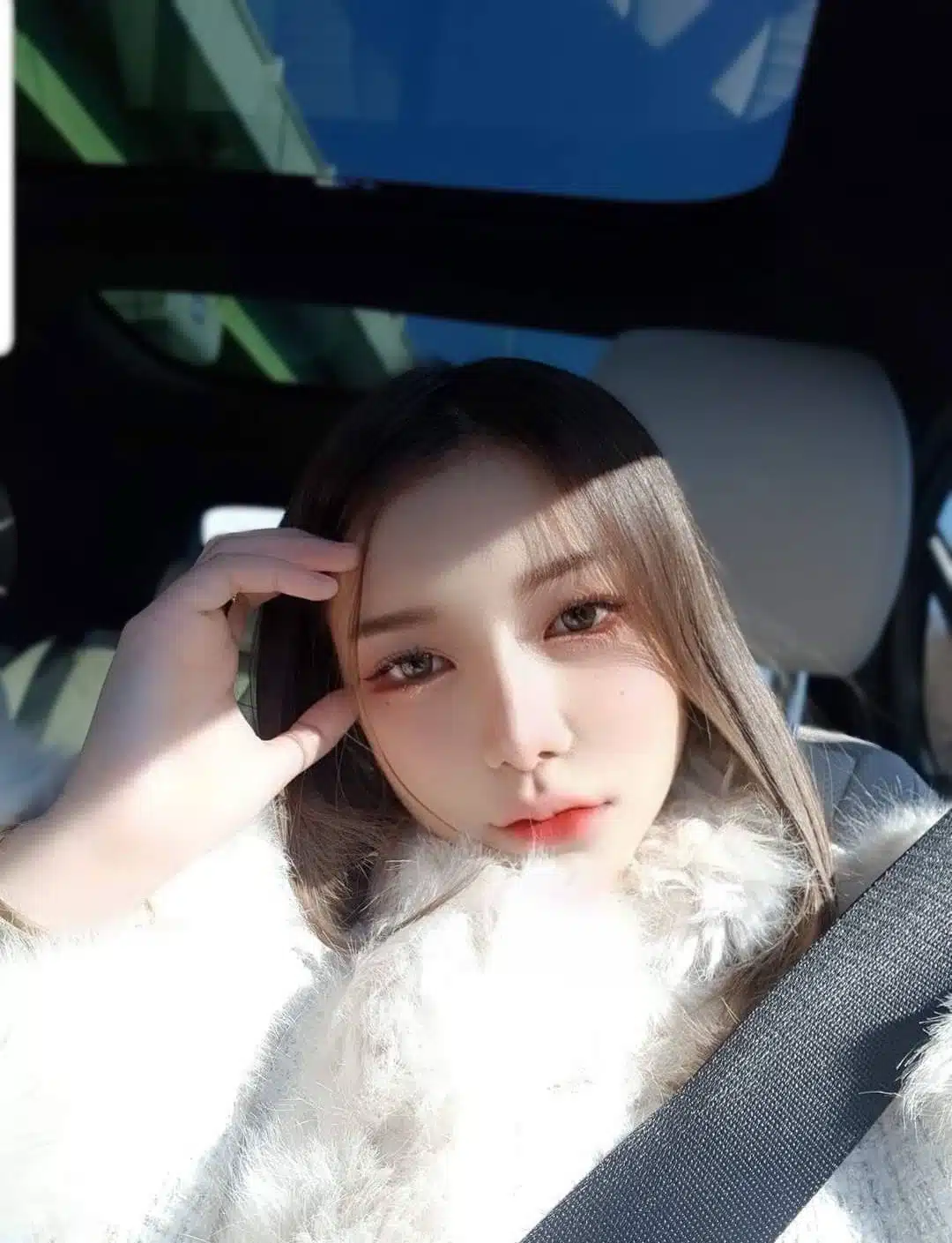 台北定點茶-軟糖/155/44/22/E