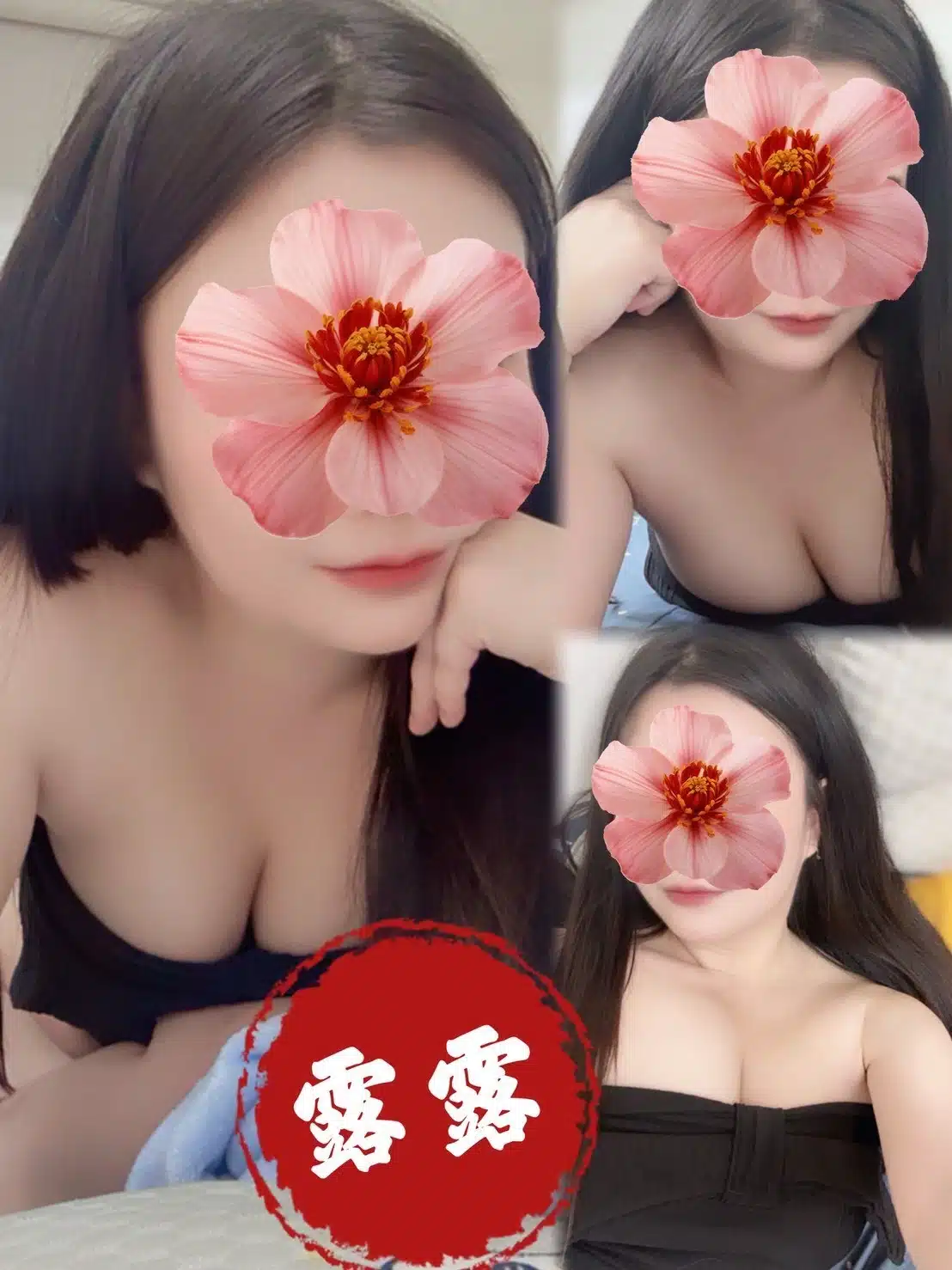 高雄定點茶-露露/158/56/24/D