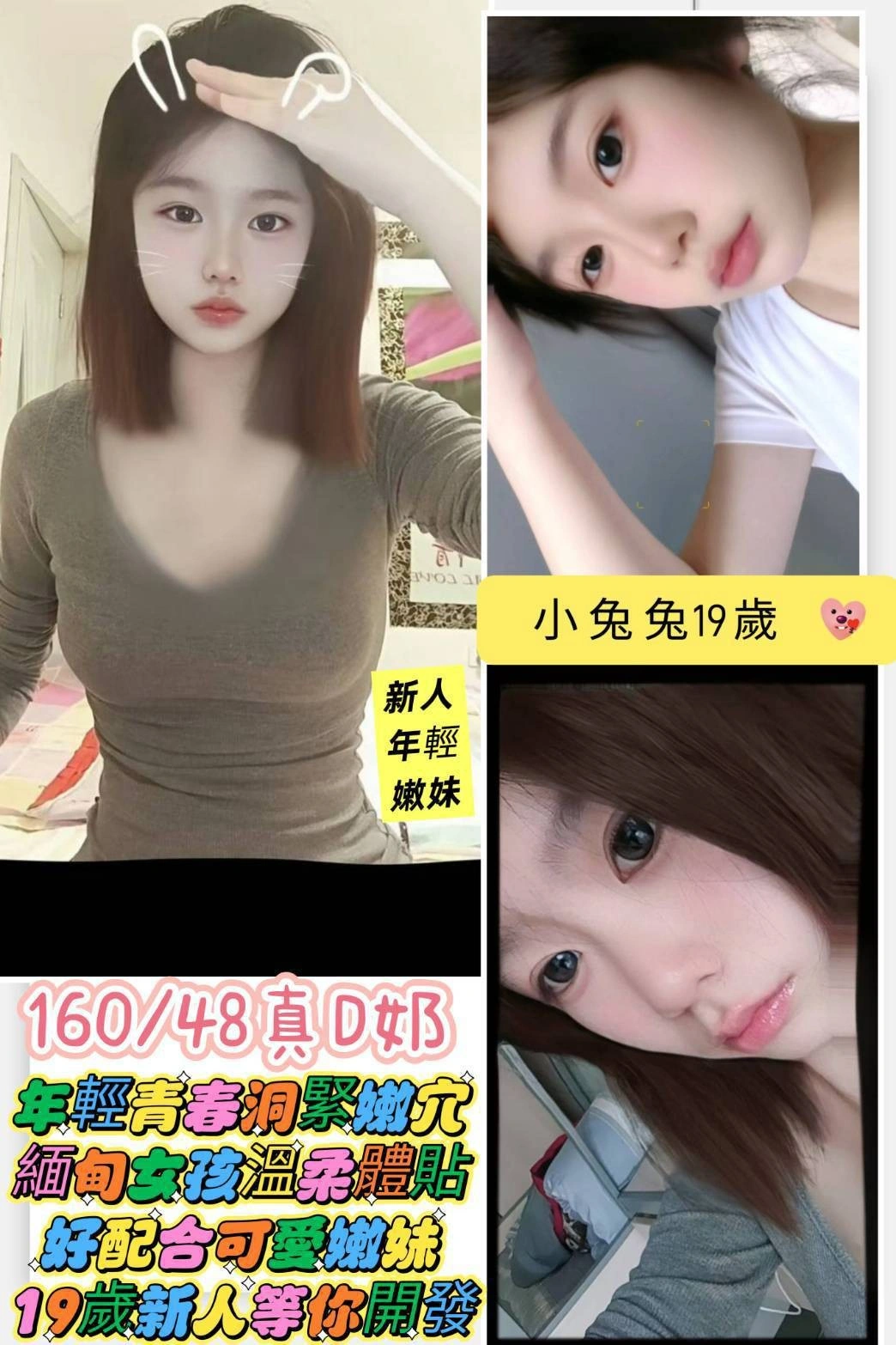 台南定點茶-小兔兔/160/48/19/C